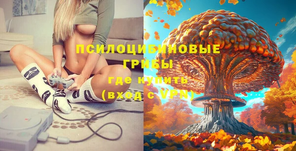 ПСИЛОЦИБИНОВЫЕ ГРИБЫ Армянск