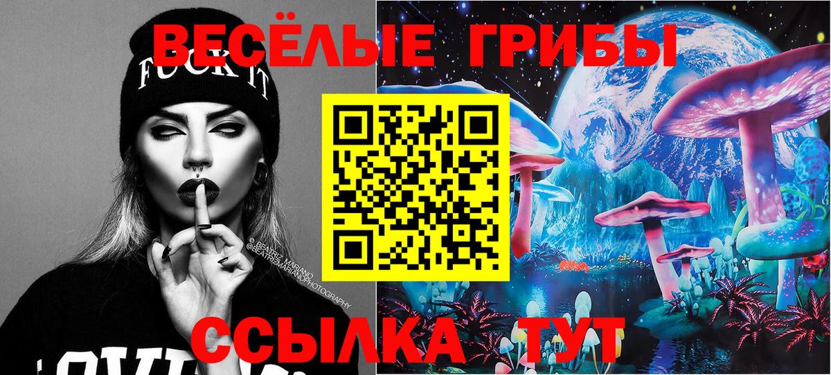 Галлюциногенные грибы прущие грибы  Вход с VPN  Каменск-Уральский 