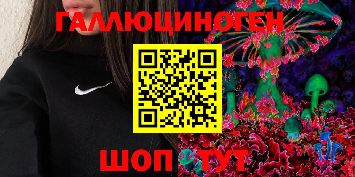 Галлюциногенные грибы Psilocybine cubensis Каменск-Уральский